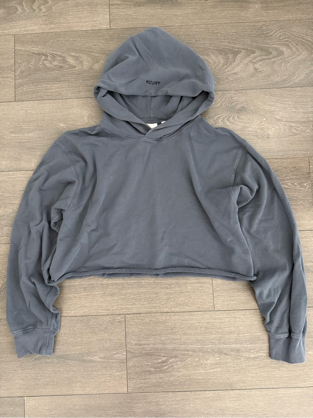 Aritzia Cropped Hoodie in Slate Gray